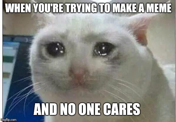 crying cat | WHEN YOU'RE TRYING TO MAKE A MEME; AND NO ONE CARES | image tagged in crying cat | made w/ Imgflip meme maker