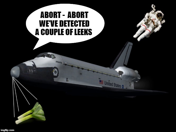 Leeks in space |  ABORT -  ABORT
WE'VE DETECTED A COUPLE OF LEEKS | image tagged in kewlew,leeks,space shuttle,funny,space walk,potatoes | made w/ Imgflip meme maker