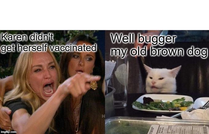 Woman Yelling At Cat Meme | Karen didn't get herself vaccinated Well bugger my old brown dog | image tagged in memes,woman yelling at cat | made w/ Imgflip meme maker