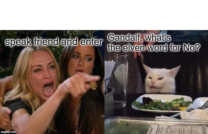 Woman Yelling At Cat Meme | speak friend and enter Gandalf, what's the elven word for No? | image tagged in memes,woman yelling at cat | made w/ Imgflip meme maker
