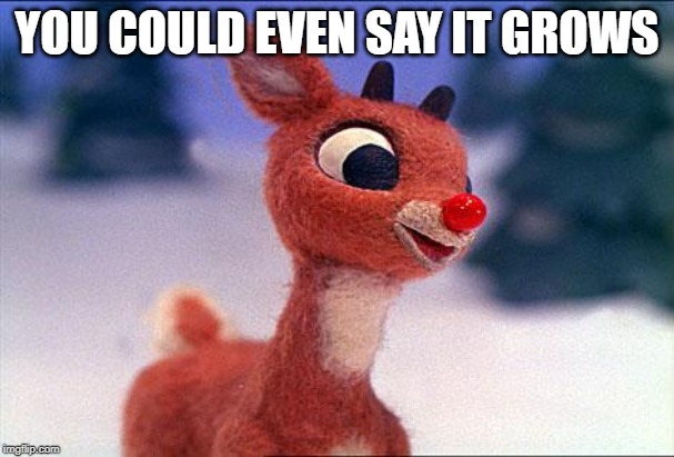 rudolph | YOU COULD EVEN SAY IT GROWS | image tagged in rudolph | made w/ Imgflip meme maker