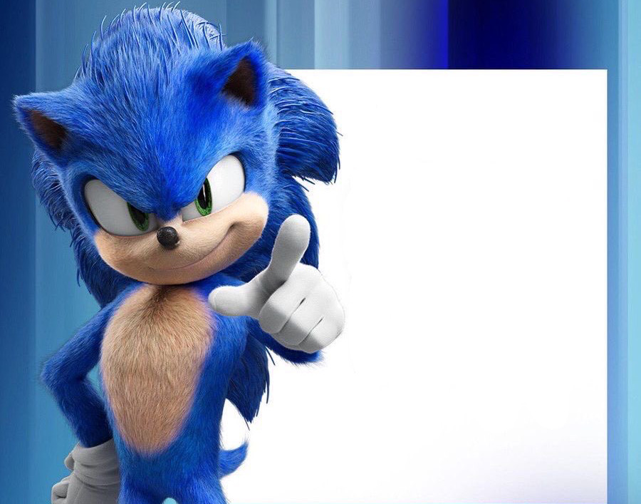 Sonic says: Blank Meme Template