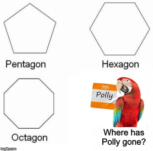 Polly gone polygon. | Where has
Polly gone? | image tagged in pentagon hexagon octagon,memes,birds | made w/ Imgflip meme maker