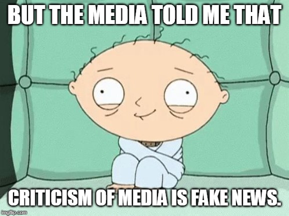 straitjacket stewie | BUT THE MEDIA TOLD ME THAT; CRITICISM OF MEDIA IS FAKE NEWS. | image tagged in straitjacket stewie | made w/ Imgflip meme maker