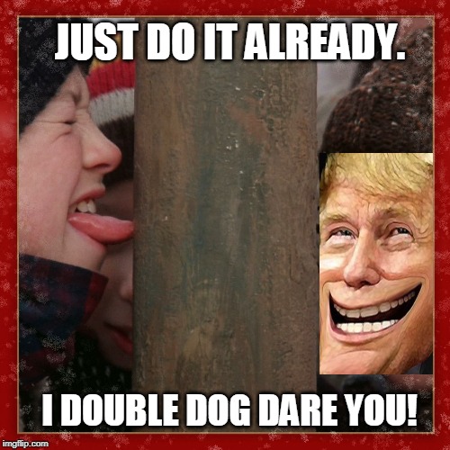 Double dog dare you | JUST DO IT ALREADY. I DOUBLE DOG DARE YOU! | image tagged in double dog dare you | made w/ Imgflip meme maker