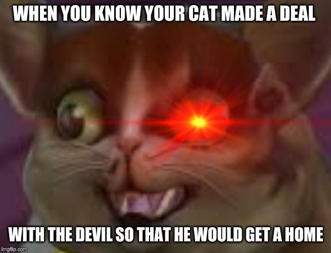 WHEN YOU KNOW YOUR CAT MADE A DEAL; WITH THE DEVIL SO THAT HE WOULD GET A HOME | made w/ Imgflip meme maker