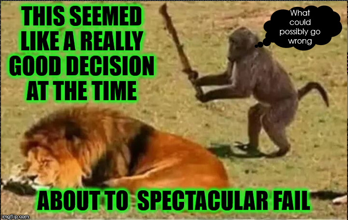 What Could Go Wrong | image tagged in special kind of stupid,spectacular fail,failing,monkey business,drunken ass monkey,monkey fails | made w/ Imgflip meme maker