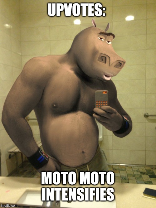 Free: Moto Moto Likes You Meme PNG Image  Transparent PNG Free Download   