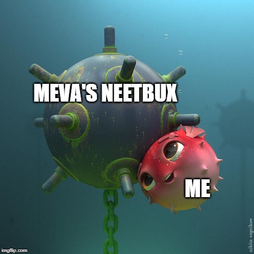 Fish mine | MEVA'S NEETBUX; ME | image tagged in fish mine | made w/ Imgflip meme maker