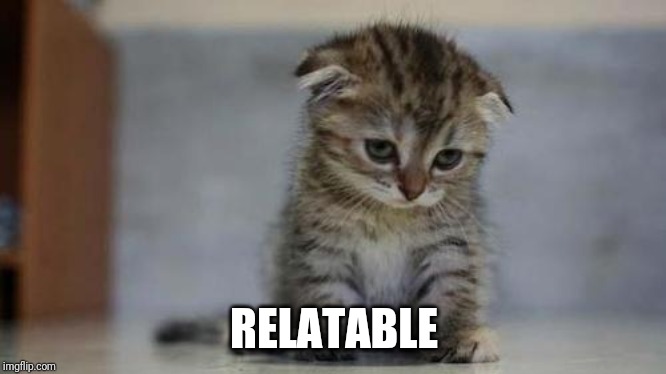 Sad kitten | RELATABLE | image tagged in sad kitten | made w/ Imgflip meme maker