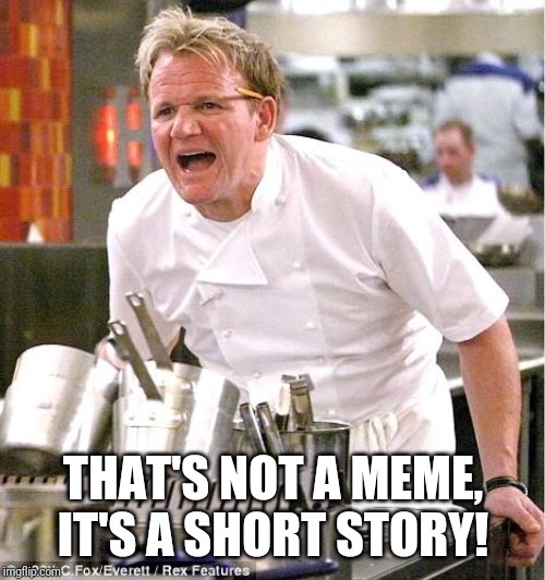 Chef Gordon Ramsay Meme | THAT'S NOT A MEME, IT'S A SHORT STORY! | image tagged in memes,chef gordon ramsay | made w/ Imgflip meme maker