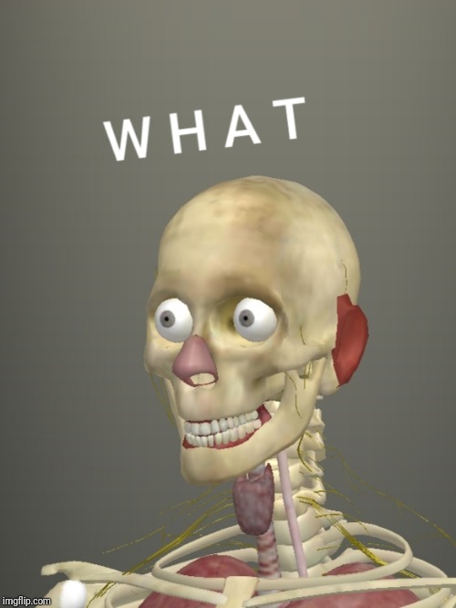 What Skeleton mk.1 | image tagged in what skeleton mk1 | made w/ Imgflip meme maker