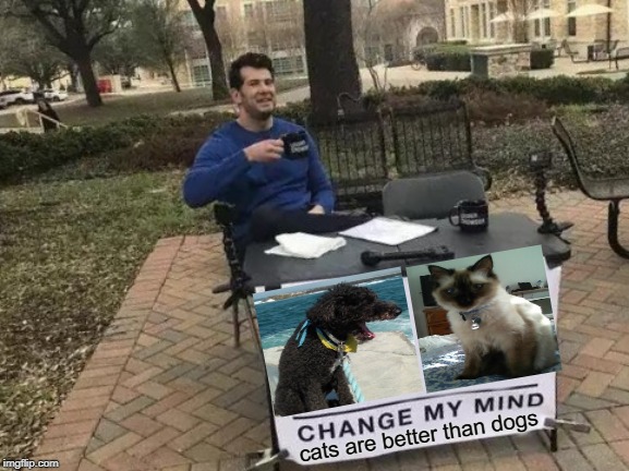 Change My Mind | cats are better than dogs | image tagged in memes,change my mind | made w/ Imgflip meme maker