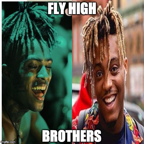 FLY HIGH; BROTHERS | image tagged in fly,high,love,brothers | made w/ Imgflip meme maker