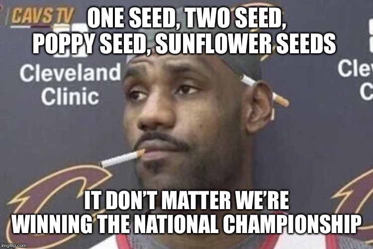 ONE SEED, TWO SEED, POPPY SEED, SUNFLOWER SEEDS; IT DON’T MATTER WE’RE WINNING THE NATIONAL CHAMPIONSHIP | made w/ Imgflip meme maker