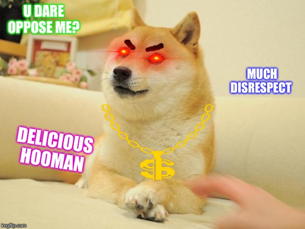 Doge 2 Meme | U DARE OPPOSE ME? MUCH DISRESPECT; DELICIOUS HOOMAN | image tagged in memes,doge 2 | made w/ Imgflip meme maker