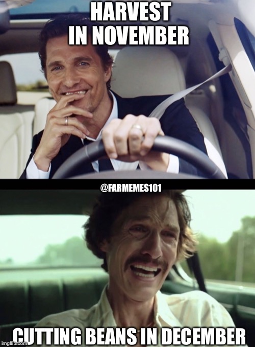 Matthew McConaughey | HARVEST IN NOVEMBER; @FARMEMES101; CUTTING BEANS IN DECEMBER | image tagged in matthew mcconaughey | made w/ Imgflip meme maker