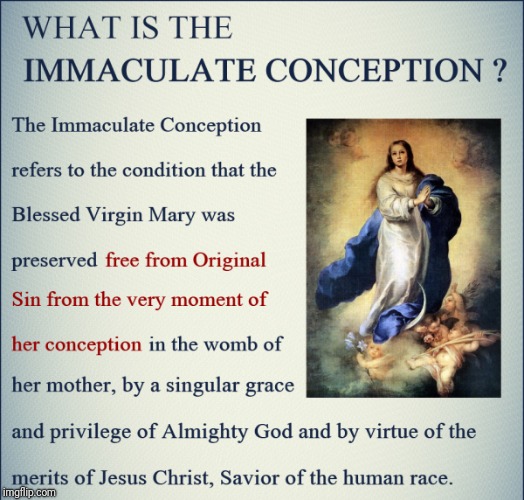 Happy Feast of the Immaculate Conception! | image tagged in virgin,mary,pure | made w/ Imgflip meme maker