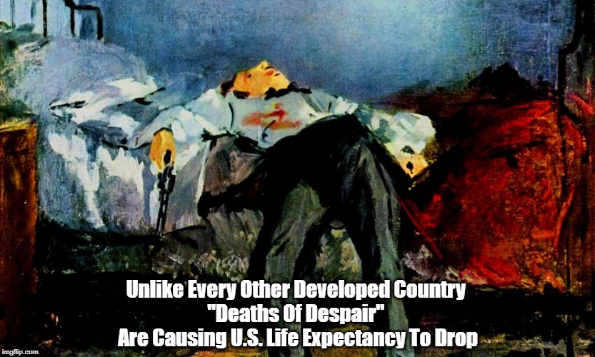 Unlike Every Other Developed Country, "Deaths Of Despair" Are Causing U.S. Life Expectancy To Drop | Unlike Every Other Developed Country 
"Deaths Of Despair" 
Are Causing U.S. Life Expectancy To Drop | image tagged in deaths of despair,suicidality,suicide,falling life expectancy,declining longevity,americans are dying younger | made w/ Imgflip meme maker
