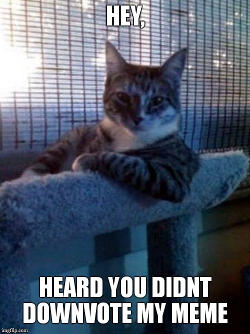 The Most Interesting Cat In The World | HEY, HEARD YOU DIDNT DOWNVOTE MY MEME | image tagged in memes,the most interesting cat in the world | made w/ Imgflip meme maker