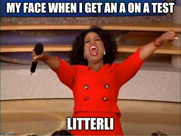 Oprah You Get A Meme | MY FACE WHEN I GET AN A ON A TEST; LITTERLI | image tagged in memes,oprah you get a | made w/ Imgflip meme maker