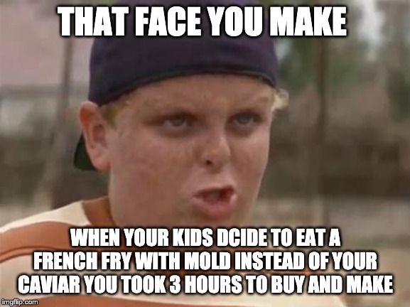 sandlot | THAT FACE YOU MAKE; WHEN YOUR KIDS DCIDE TO EAT A FRENCH FRY WITH MOLD INSTEAD OF YOUR CAVIAR YOU TOOK 3 HOURS TO BUY AND MAKE | image tagged in sandlot | made w/ Imgflip meme maker