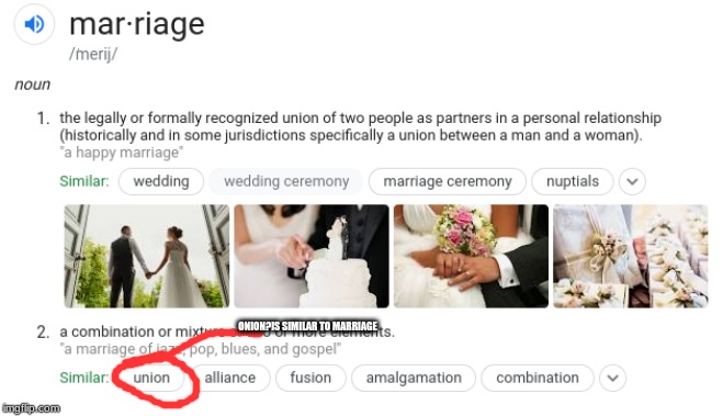ONION?IS SIMILAR TO MARRIAGE | image tagged in memes,jokes,onion,marriage,funny,y u no | made w/ Imgflip meme maker