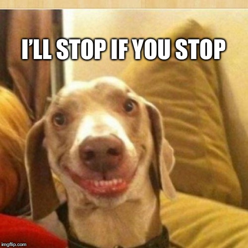 big smile doggie | I’LL STOP IF YOU STOP | image tagged in big smile doggie | made w/ Imgflip meme maker