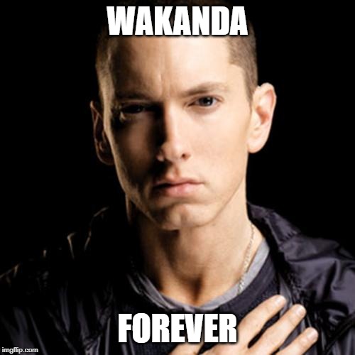 Eminem | WAKANDA; FOREVER | image tagged in memes,eminem | made w/ Imgflip meme maker