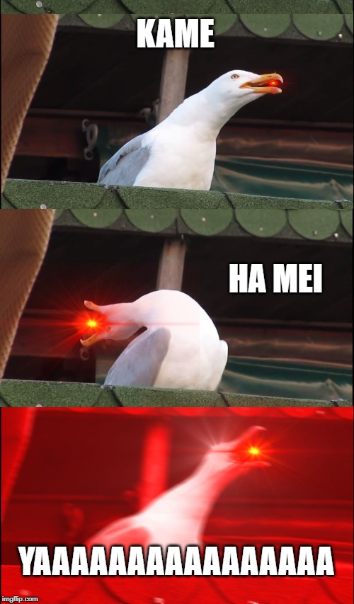 KAME HA ME HAAAAAAAAAA Blank Meme Template