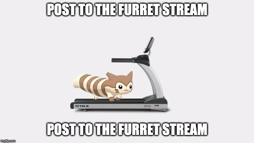 Furret Running On Treadmill | POST TO THE FURRET STREAM; POST TO THE FURRET STREAM | image tagged in furret running on treadmill | made w/ Imgflip meme maker