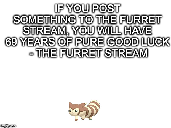 Blank White Template | IF YOU POST SOMETHING TO THE FURRET STREAM, YOU WILL HAVE 69 YEARS OF PURE GOOD LUCK
 - THE FURRET STREAM | image tagged in blank white template | made w/ Imgflip meme maker