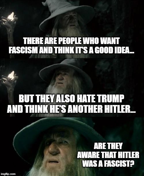 Confused Gandalf | THERE ARE PEOPLE WHO WANT FASCISM AND THINK IT'S A GOOD IDEA... BUT THEY ALSO HATE TRUMP AND THINK HE'S ANOTHER HITLER... ARE THEY AWARE THAT HITLER WAS A FASCIST? | image tagged in memes,confused gandalf | made w/ Imgflip meme maker