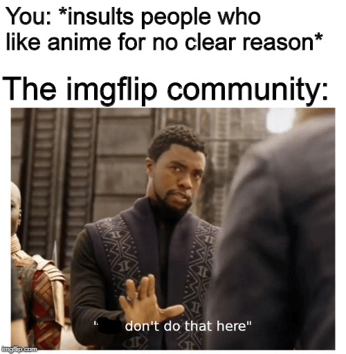 we don't do that here | You: *insults people who like anime for no clear reason* The imgflip community: | image tagged in we don't do that here | made w/ Imgflip meme maker