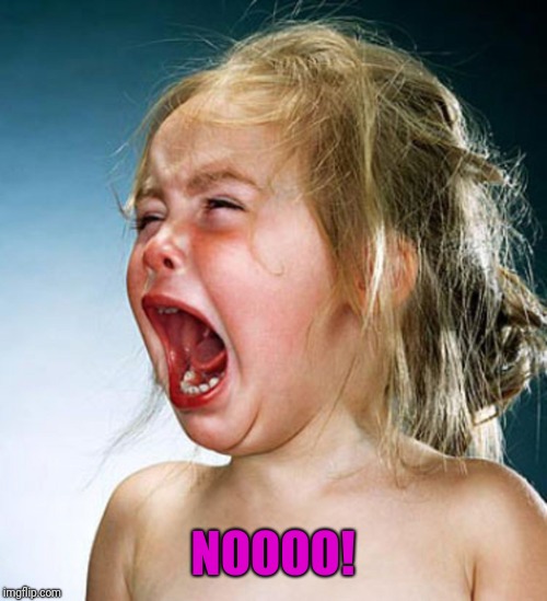 Screaming child large | NOOOO! | image tagged in screaming child large | made w/ Imgflip meme maker