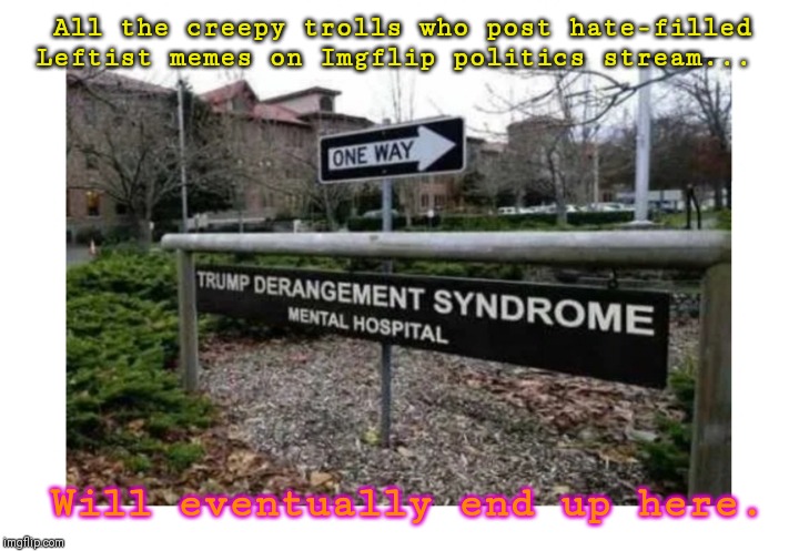 TDS is a real illness. Get help now! | All the creepy trolls who post hate-filled Leftist memes on Imgflip politics stream... Will eventually end up here. | image tagged in trump derangement syndrome | made w/ Imgflip meme maker