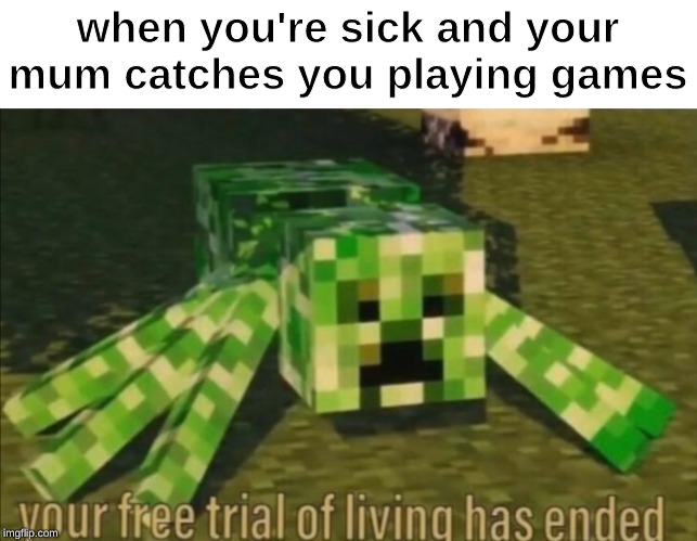 Your Free Trial of Living Has Ended | when you're sick and your mum catches you playing games | image tagged in your free trial of living has ended | made w/ Imgflip meme maker