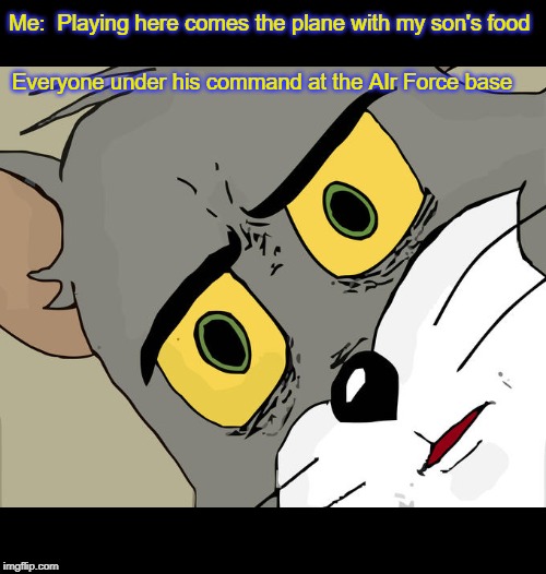 Eh, it's a meme. | Me:  Playing here comes the plane with my son's food; Everyone under his command at the AIr Force base | image tagged in memes,unsettled tom | made w/ Imgflip meme maker