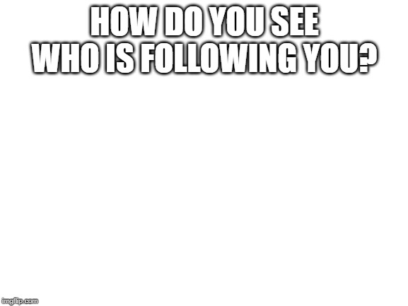Blank White Template | HOW DO YOU SEE WHO IS FOLLOWING YOU? | image tagged in blank white template | made w/ Imgflip meme maker