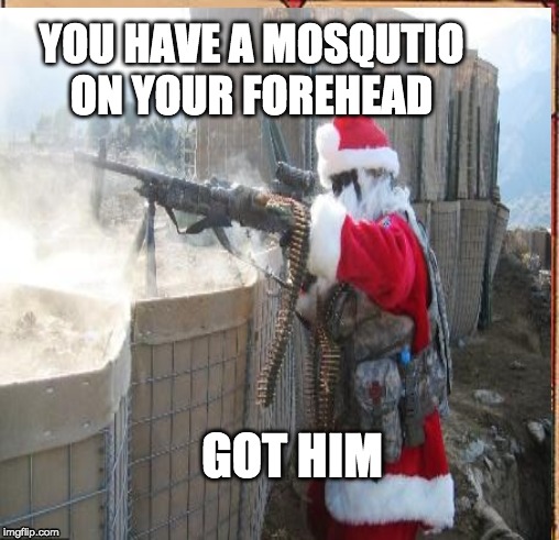 YOU HAVE A MOSQUTIO ON YOUR FOREHEAD; GOT HIM | image tagged in mosquito attack | made w/ Imgflip meme maker