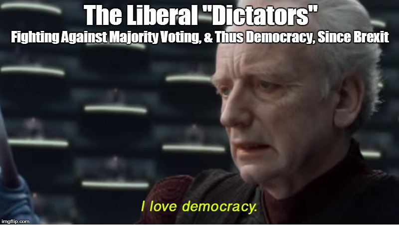 Liberal Democrats & Bexit | The Liberal "Dictators"; Fighting Against Majority Voting, & Thus Democracy, Since Brexit | image tagged in i love democracy,political memes,brexit,brexit election 2019,politics,democrats | made w/ Imgflip meme maker