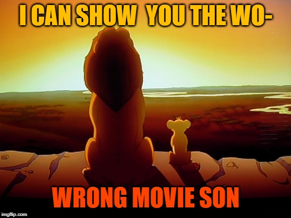 Lion King | I CAN SHOW  YOU THE WO-; WRONG MOVIE SON | image tagged in memes,lion king | made w/ Imgflip meme maker