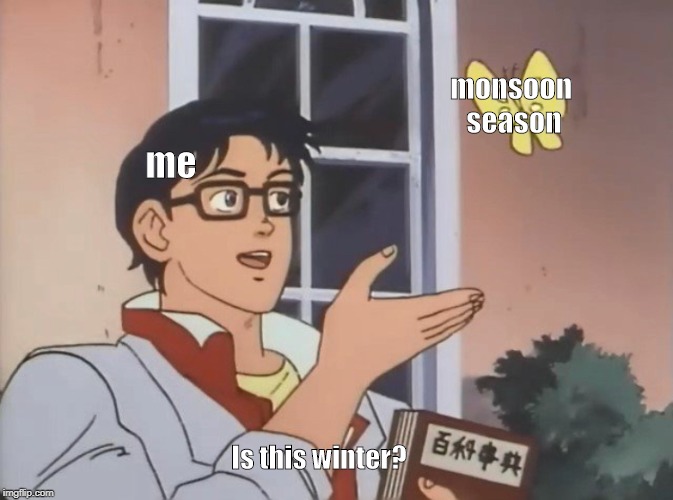 Is this a bird? | monsoon 
season; me; Is this winter? | image tagged in is this a bird | made w/ Imgflip meme maker