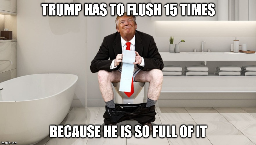 Constipation at the White House | TRUMP HAS TO FLUSH 15 TIMES; BECAUSE HE IS SO FULL OF IT | image tagged in toilet emergency,full of shit,constipation,conman,liar,impeach trump | made w/ Imgflip meme maker