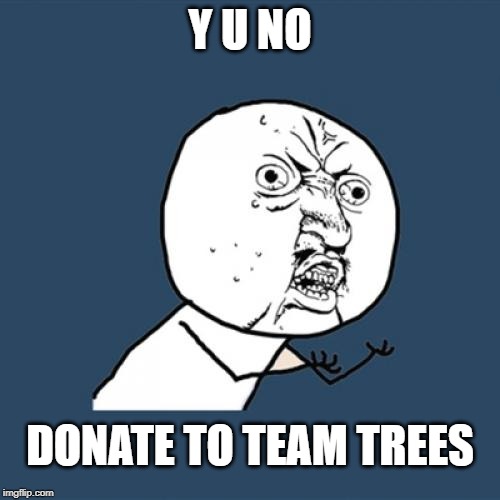 Y U No | Y U NO; DONATE TO TEAM TREES | image tagged in memes,y u no | made w/ Imgflip meme maker