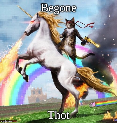 Welcome To The Internets | Begone; Thot | image tagged in memes,welcome to the internets | made w/ Imgflip meme maker