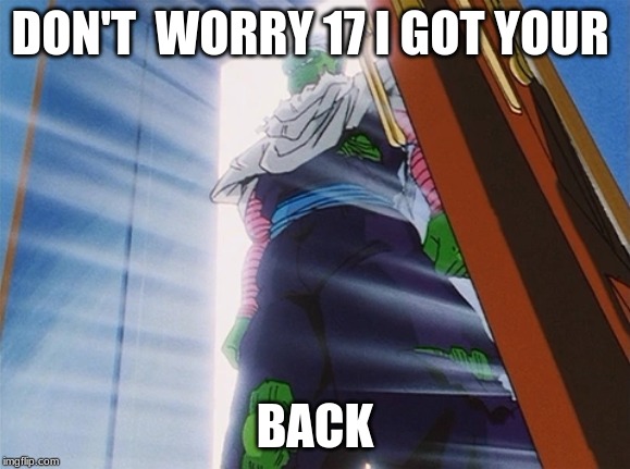 Piccolo | DON'T  WORRY 17 I GOT YOUR BACK | image tagged in piccolo | made w/ Imgflip meme maker