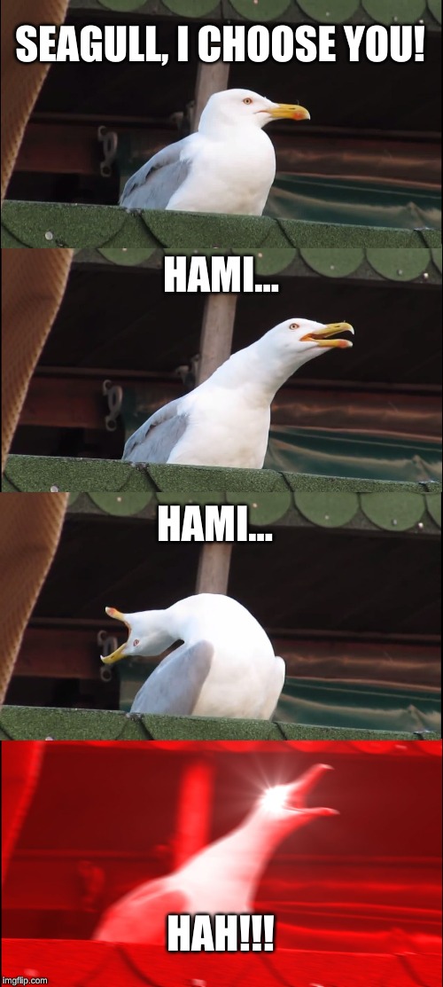 Inhaling Seagull | SEAGULL, I CHOOSE YOU! HAMI... HAMI... HAH!!! | image tagged in memes,inhaling seagull | made w/ Imgflip meme maker