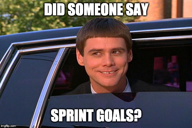 Did someone say whisky? | DID SOMEONE SAY; SPRINT GOALS? | image tagged in did someone say whisky | made w/ Imgflip meme maker