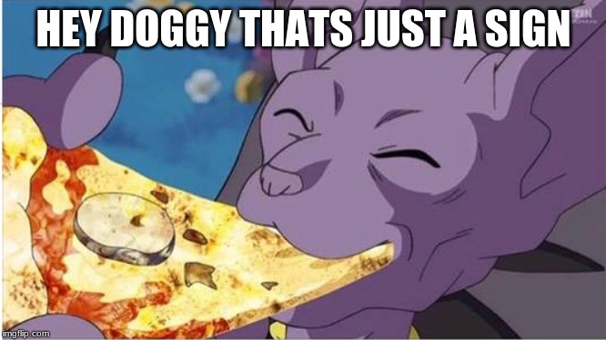 Beerus | HEY DOGGY THATS JUST A SIGN | image tagged in beerus | made w/ Imgflip meme maker